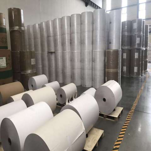 Economy Top Coated Thermal paper Jumbo Rolls